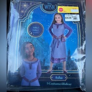 Disney Halloween Costume